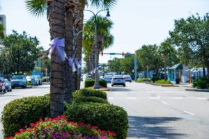 NMB Main Street Purple